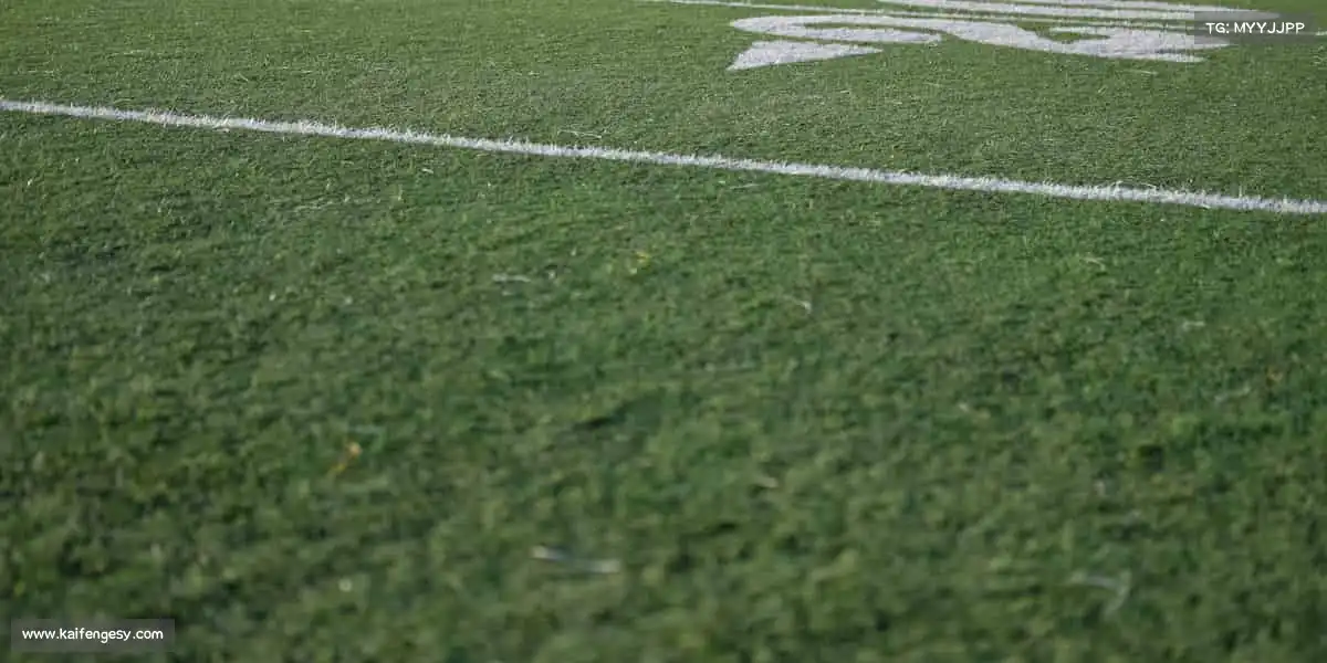 <strong>星空综合</strong>🏊‍♂️畅游碧波，解锁生活的无限可能！